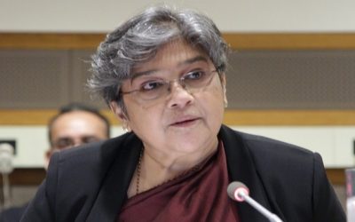 জাতিসংঘের তিনটি সংস্থার সহ-সভাপতি হলেন রাবাব ফাতিমা